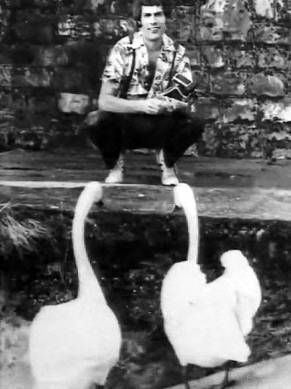 Freddie Mercury et les cygnes, devant la Duck House, en 1979.