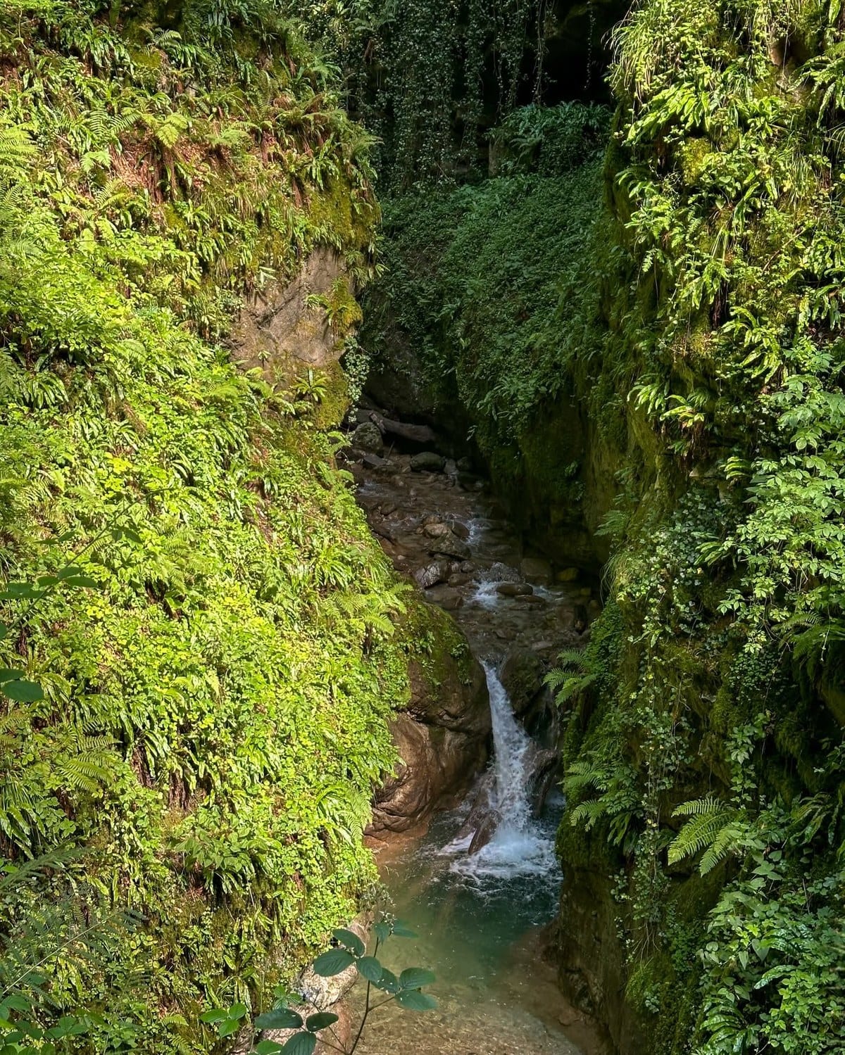 Le torrent qui a creusé la gorge au fil des siècles.