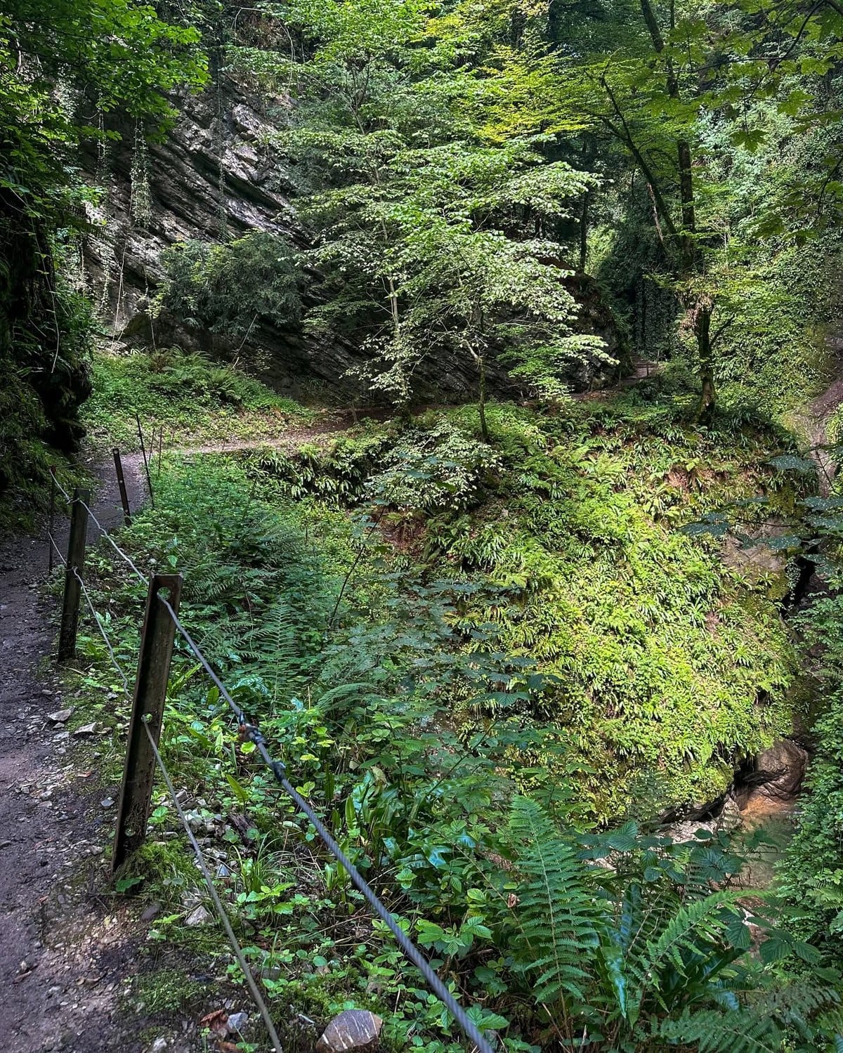Les garde-corps et les câbles qui jalonnent le parcours.