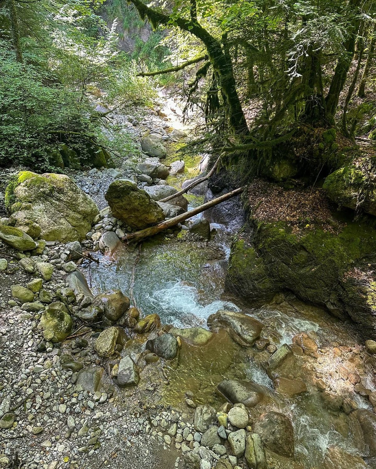 Les marches taillées pour suivre la pente.