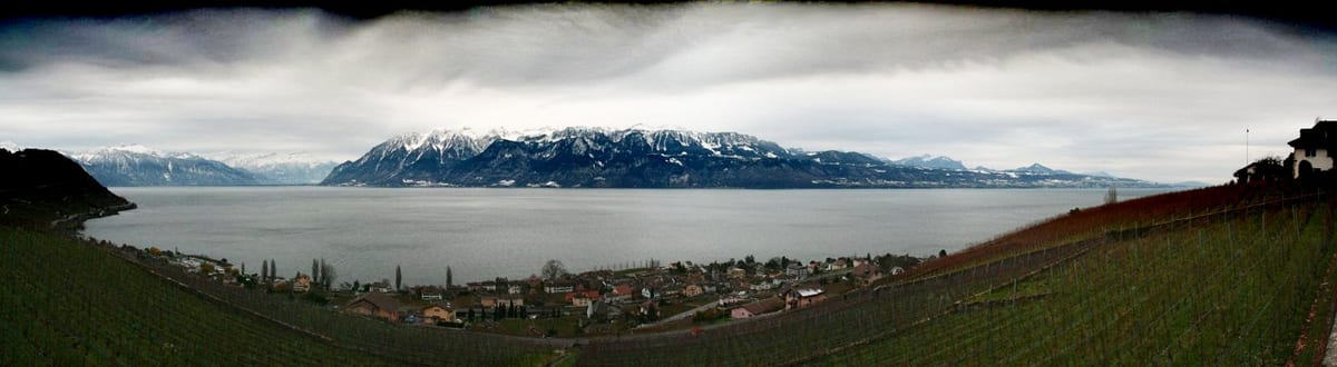 Lavaux Classic