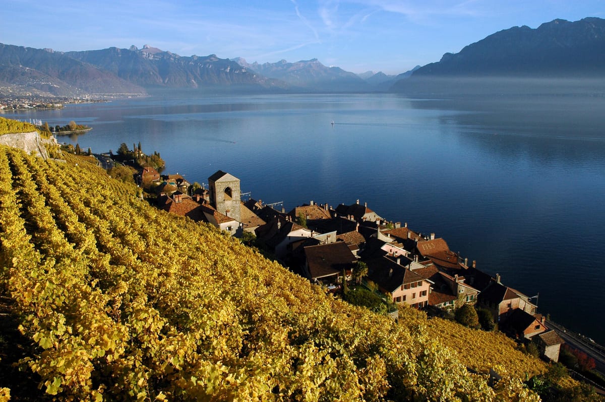 Saint-Saphorin